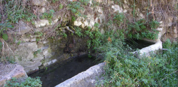 Astarté Estudio de Arqueología