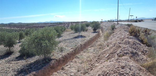 Astarté Estudio de Arqueología Empresa Málaga