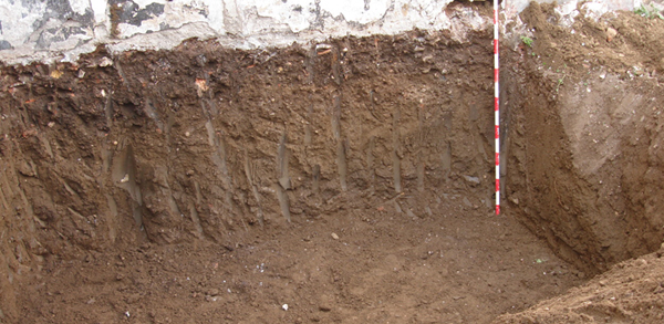 Astarté Estudio de Arqueología Empresa Málaga