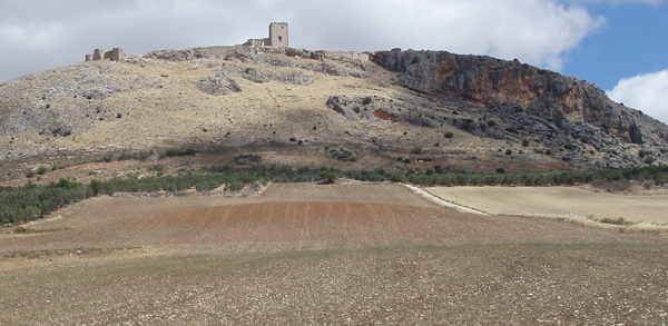 Astarté Estudio de Arqueología Empresa Málaga